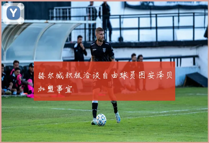 赫尔城积极洽谈自由球员图安泽贝加盟事宜