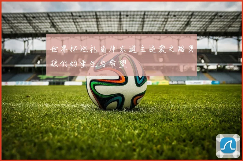 世界杯巡礼南非东道主逆袭之路男孩们的重生与希望
