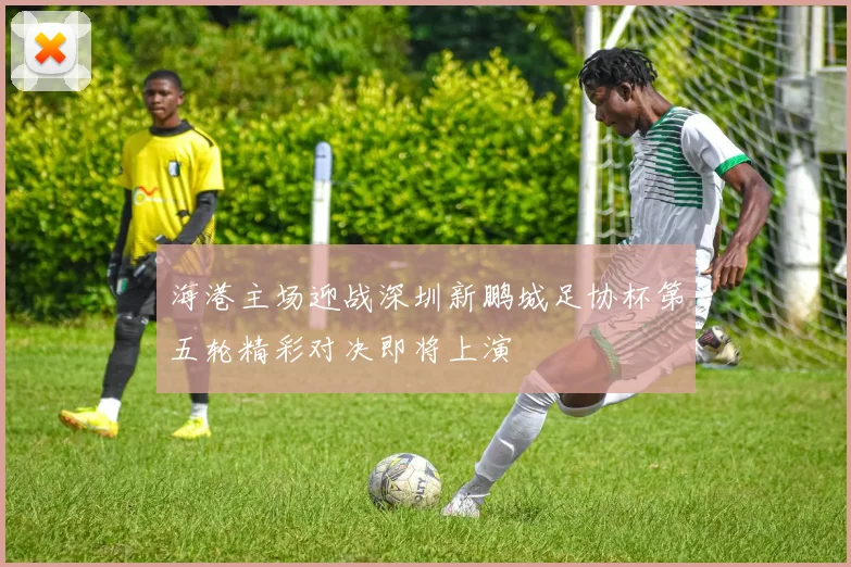 海港主场迎战深圳新鹏城足协杯第五轮精彩对决即将上演